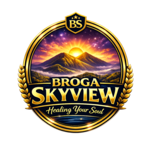 logo broga skyview